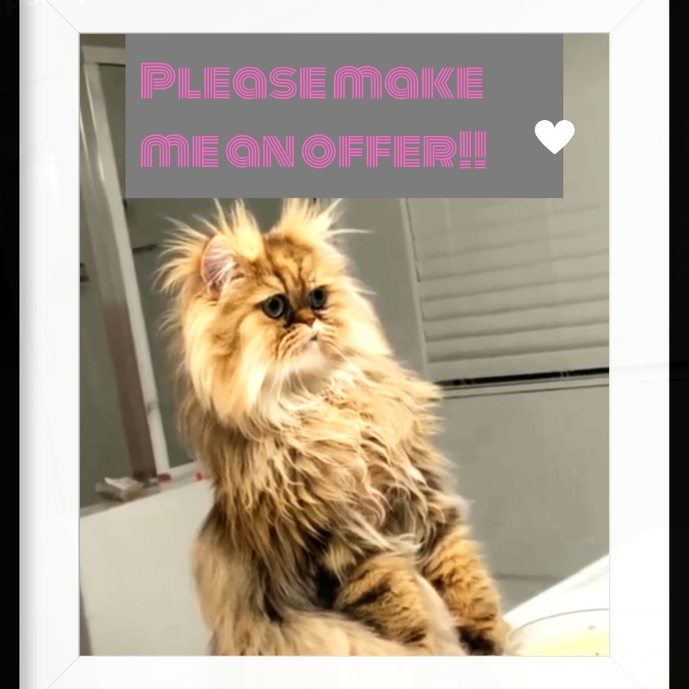 OFFERS WELCOMED😊